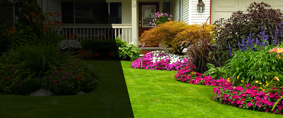 Needville Landscapers
