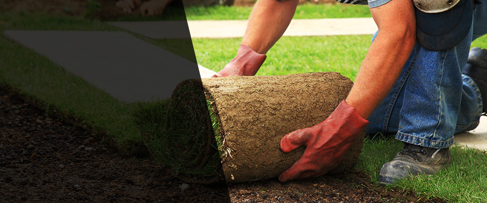 Needville Landscapers